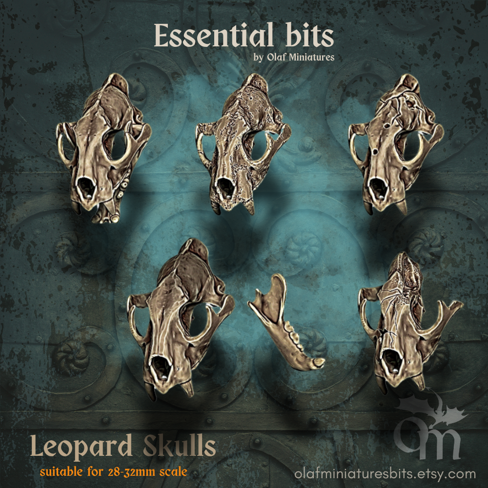 Leopard Skulls